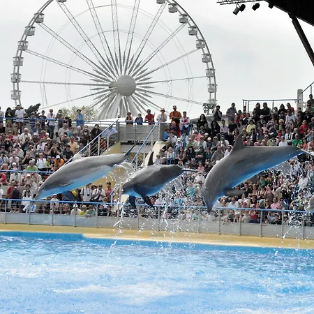 Szálloda The Originals Boutique, Les Strelitzias 3*