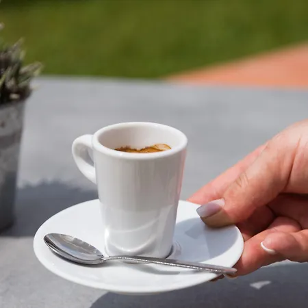 The Originals Boutique, Les Strelitzias 3* Juan-les-Pins