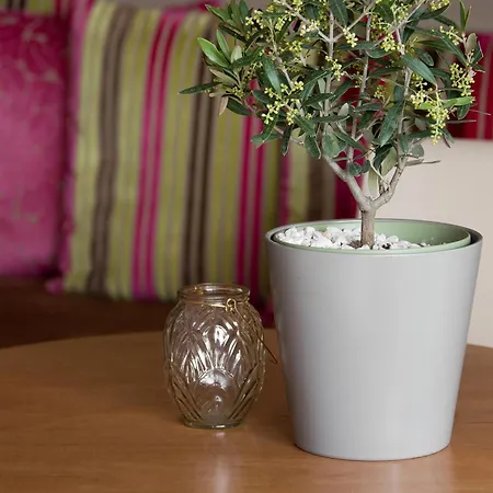 The Originals Boutique, Les Strelitzias Hotel 3*