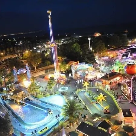 The Originals Boutique, Les Strelitzias