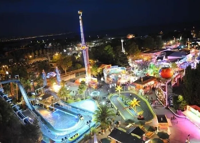 The Originals Boutique, Les Strelitzias